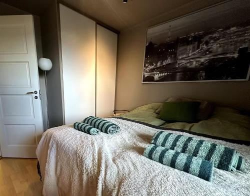 a bedroom with a bed with two pillows on it at Aurora Borealis Apartment - Sleeps 3 - Parking in Hjorten