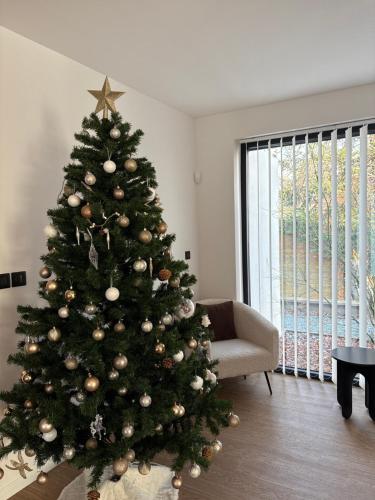 Gallery image of Splendide villa proche de Colmar in Bischwihr