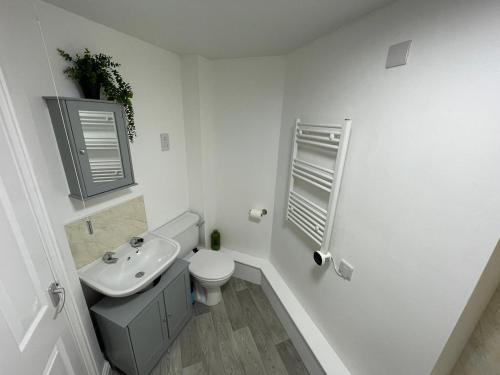 Koupelna v ubytování Newly renovated 2 bed apartment