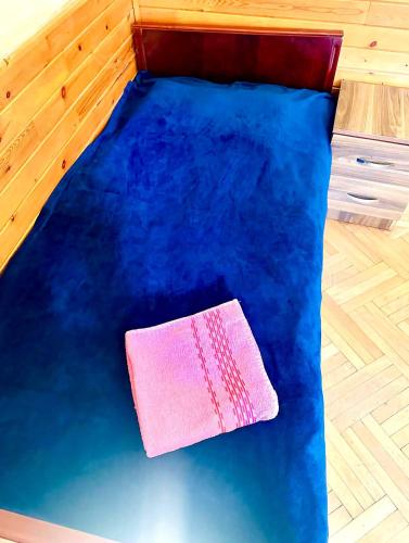 Budget Home في كوتايسي: أرضية زرقاء عليها منشفة وردية اللون