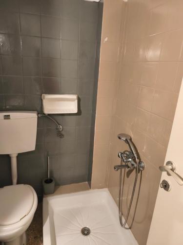 a small bathroom with a toilet and a shower at Central Michaniona AP in Nea Michaniona