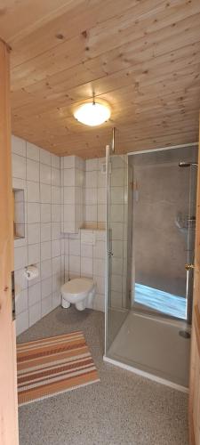 a bathroom with a toilet and a glass shower at Ferienhütte Georg in Hippach