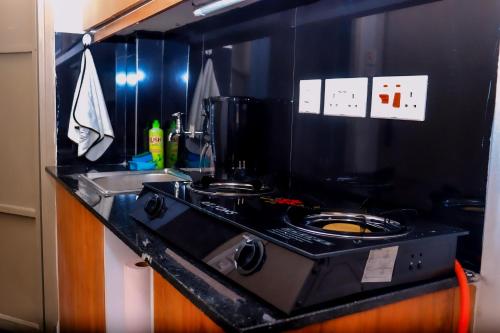 内罗毕Lunic Studio BNB的带炉灶和水槽的小厨房