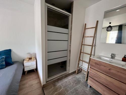 a bathroom with a shower and a sink and a mirror at L'Eden - T2 climatisé piscine renové in Balaruc-les-Bains