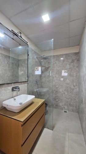 a bathroom with a sink and a glass shower at Spacious Lakeview Apartment with Balcony in Lucknow
