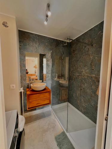 ein Badezimmer mit Waschbecken und Dusche in der Unterkunft Green cocoon in Mandelieu-la-Napoule
