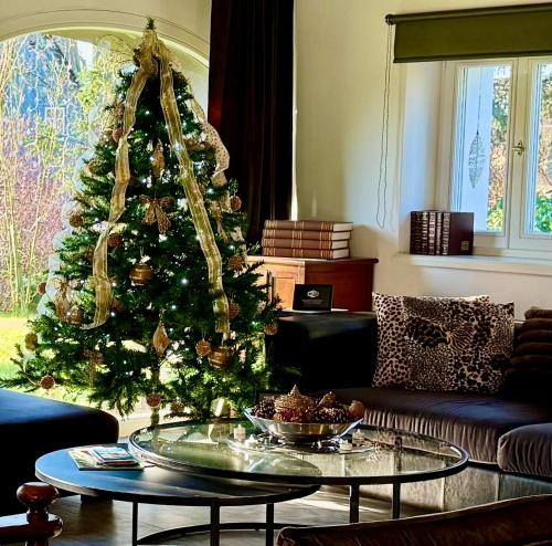a christmas tree in a living room with a table at Rest & Relax Doubice in Doubice