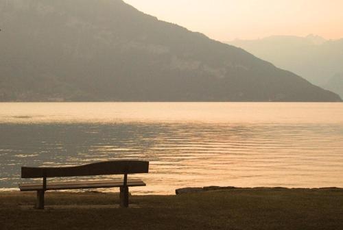 المناظر الطبيعية بالقرب من الشقة