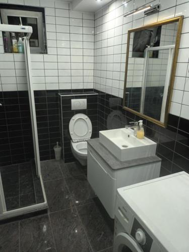 ein Badezimmer mit Toilette, Waschbecken und Spiegel in der Unterkunft Blu point 1 in Kragujevac