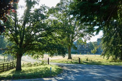 a road with trees and a fence in a field at The Coach House Lodges at Denton Reserve in Denton