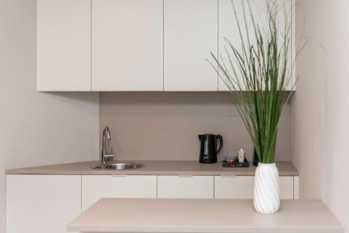 eine Küche mit weißen Schränken und einer Vase mit einer Pflanze in der Unterkunft HANS-Y Apartments inklusive Outdoorpool & Bar in Wien