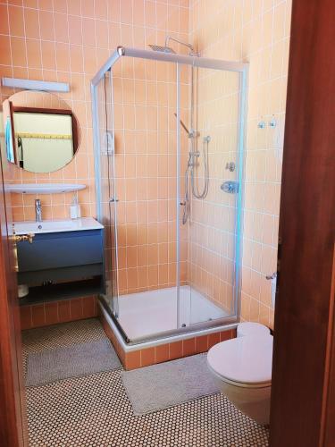 a bathroom with a shower and a toilet and a sink at Ferienwohnung Rhönchalet in Gersfeld
