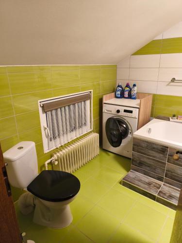 a green bathroom with a toilet and a washing machine at Haus Kraus in Bayerisch Eisenstein
