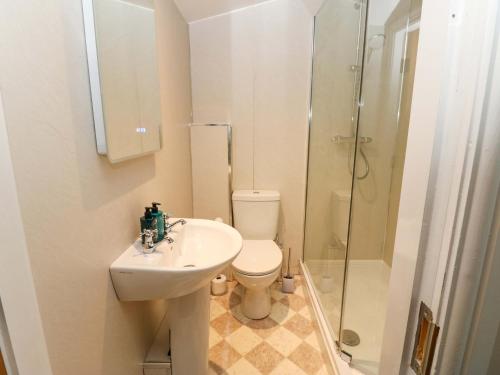 een badkamer met een toilet, een wastafel en een douche bij The Old Dairy in Richmond