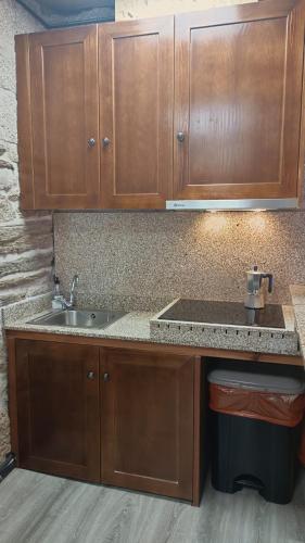 a kitchen with wooden cabinets and a sink at Casa Brues in Boborás