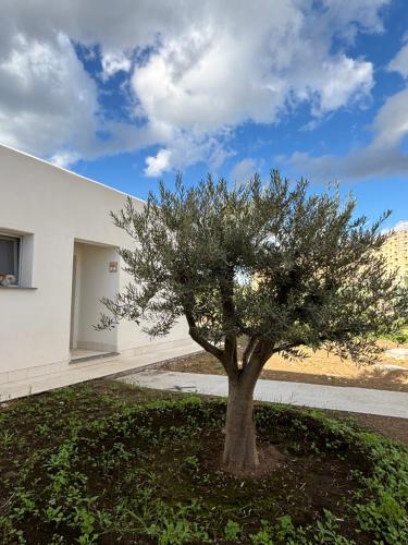 Φωτογραφία από το άλμπουμ του Borgo Nocchiara σε Carlentini