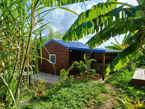 ein Haus mit blauem Dach in einem Garten in der Unterkunft Le Paradis des Colibris Gîte créole avec piscine table dhôtes et nature à Anse Bertrand in Anse-Bertrand