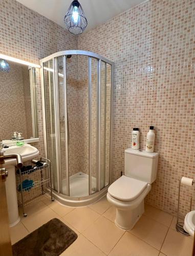a bathroom with a shower and a toilet and a sink at Estancia en Bernuy SEGOVIA VUT-40-808 in Bernúy de Porreros