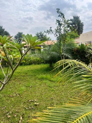 KartungGeorgianas Residence的草和植物的院子,房子