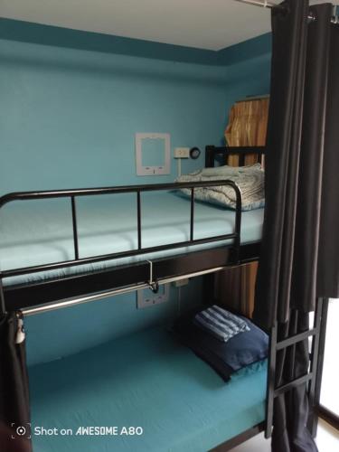 two bunk beds in a room with blue walls at Jomtien Beach Hostel & Guesthouse in Jomtien Beach