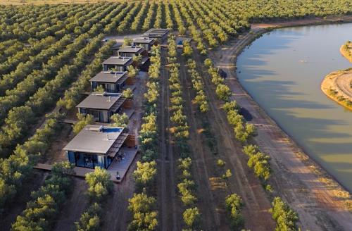 帕尔Olijvenkraal Winelands Lodge的相册照片