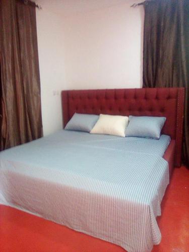 ein Bett mit zwei Kissen darauf in einem Zimmer in der Unterkunft Regal Royal Suites in Kokrobite