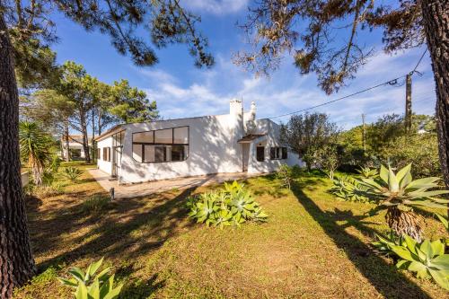 Casa dos Golfinhos