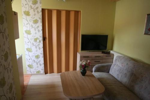 ein Wohnzimmer mit einer Couch und einem Tisch und einem Fernseher in der Unterkunft Wohnung in Ilfeld mit Grill und Garten in Harztor