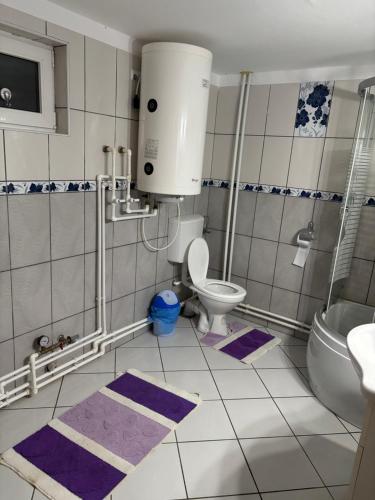 un bagno con un water e un lavandino di la Sat a Marga