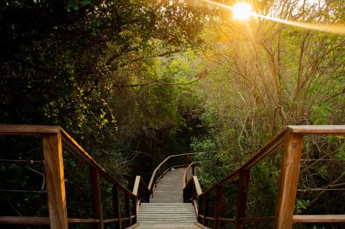 a wooden staircase leading down to a forest with the sunlight at Monarch Beach Villa in Cimbene