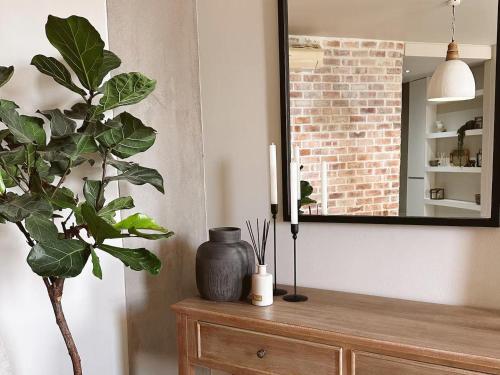 a plant sitting on top of a dresser with a mirror at Wild Olive 65 Farmhouse Style in Windhoek
