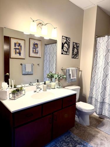 a bathroom with a sink and a toilet and a mirror at Loft on Lake Ave in Duluth