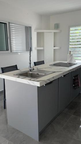 a kitchen with a sink and a counter top at Villa Outaouais T4 in Bielle