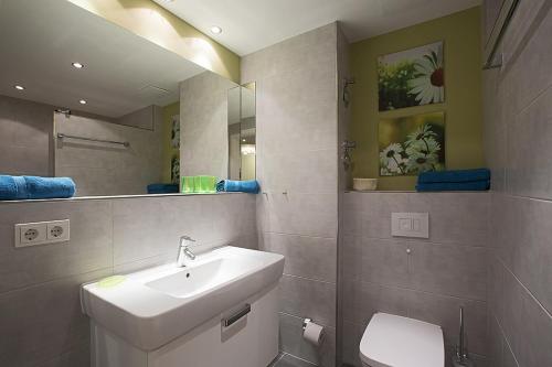 a bathroom with a sink and a toilet and a mirror at Residenz am Balmer See - BS 05 mit Wellnessbereich in Balm