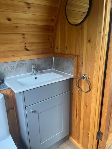 Mill House Farm Pods - Lapwing Lodge في Pilling: حمام مع حوض أبيض في جدار خشبي