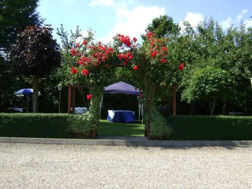 un jardín con cenador con rosas rojas en Hotel Goos, en Jübek