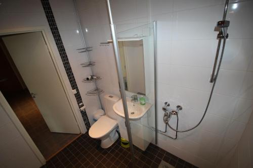 Koupelna v ubytování Hotel Aakenus Apartment Koski