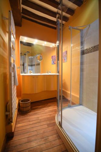 a bathroom with a shower and a sink at Les Falaises de l'Estran in Dieppe