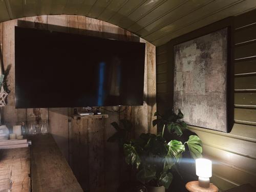 a flat screen tv hanging on a wall with a plant at Meadow View Country Park in Horton