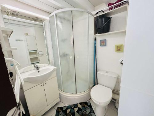 Studio CAP D'AGDE CT375-058 في كاب داغد: حمام مزود بدُش ومرحاض ومغسلة
