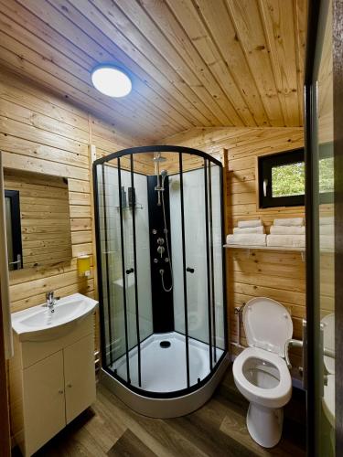 ein Badezimmer mit Glasdusche und Toilette in der Unterkunft B Frames in Aninişu din Deal