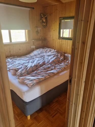 a bed in a small room with two windows at Hreiðrið cozy cabin in the countryside in Selfoss