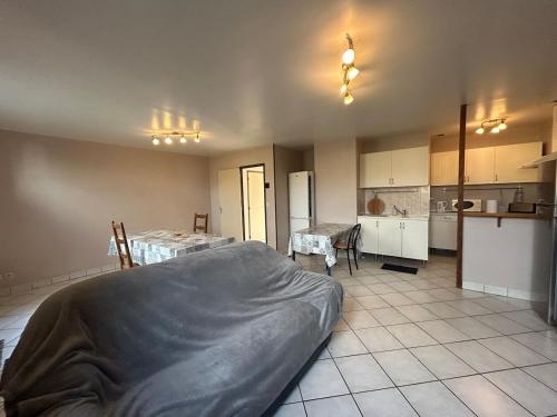 Η κουζίνα ή μικρή κουζίνα στο Gîte 9 couchages idéal pro BTP Tancarville