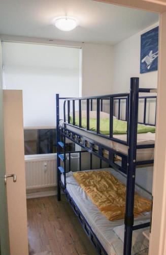 two bunk beds in a room with a window at Vier Jahreszeiten 2-52 in Großenbrode