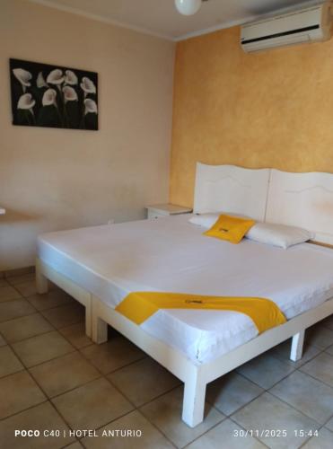 Galería fotográfica de Anturio Express en Cuernavaca