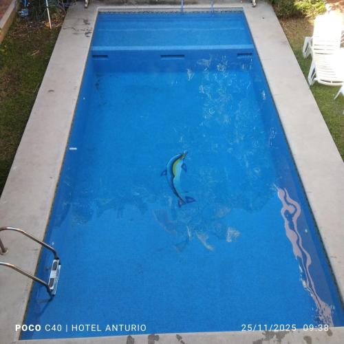 Galería fotográfica de Anturio Express en Cuernavaca