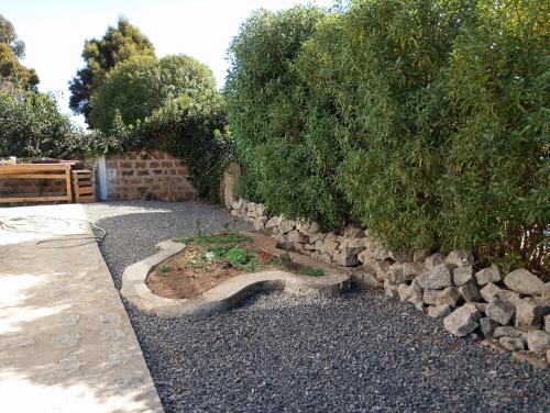 um jardim com um caminho de pedra, árvores e rochas em Oceana Suites en Algarrobo em San Antonio