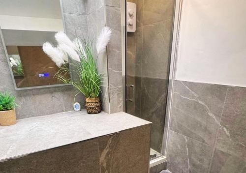 een badkamer met een douche en een plant. bij Williamson Suites - Apartment 2 in Liverpool