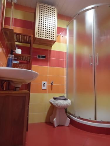 a bathroom with a shower and a sink at Apartments Gubanec in Cerklje na Gorenjskem