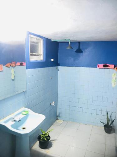 a blue tiled bathroom with a sink and potted plants at Mihira Guest House in Ahangama